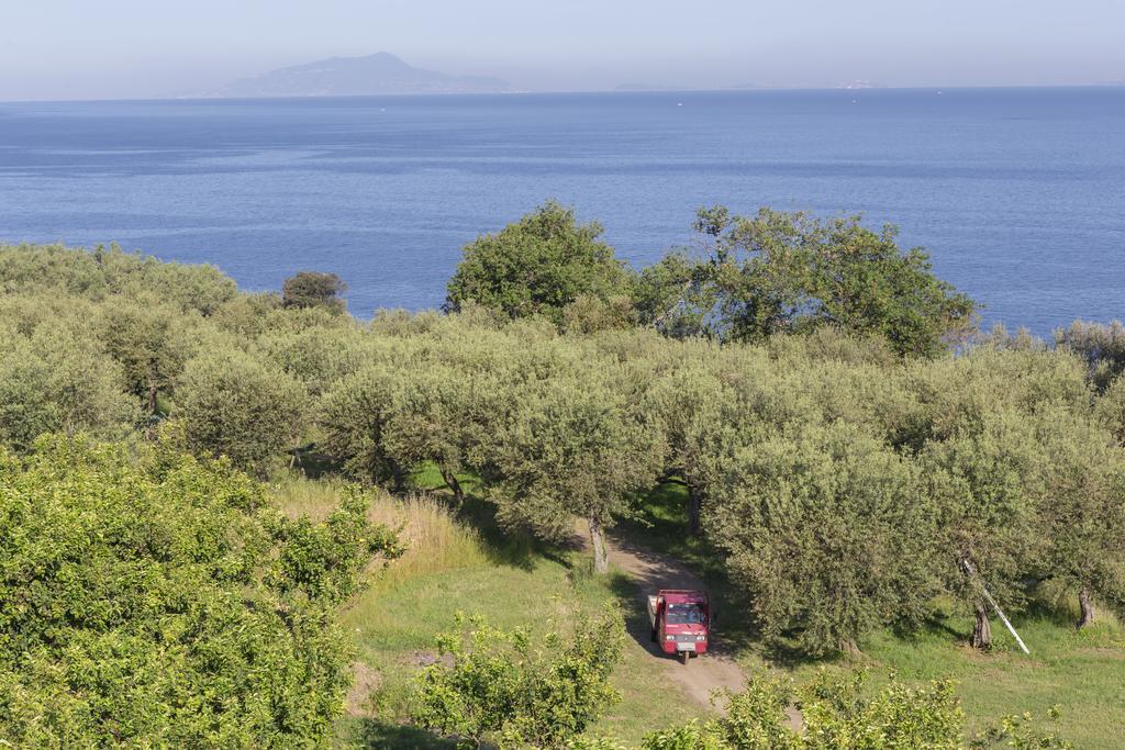 Relais Regina Giovanna Sorrento Esterno foto