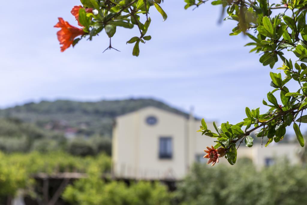 Relais Regina Giovanna Sorrento Esterno foto