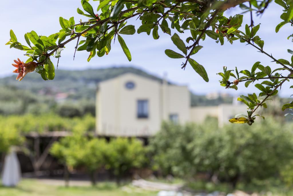 Relais Regina Giovanna Sorrento Esterno foto